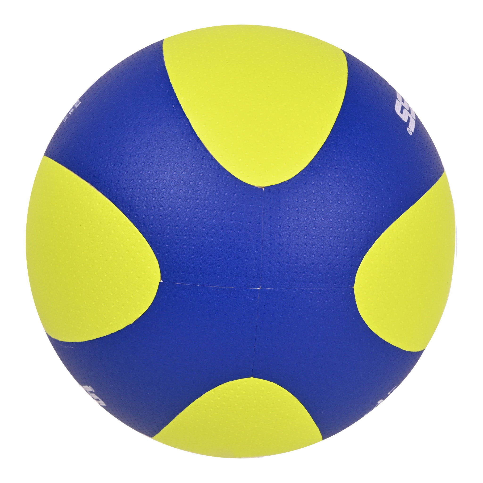 EV5514 Laminated Volleyball