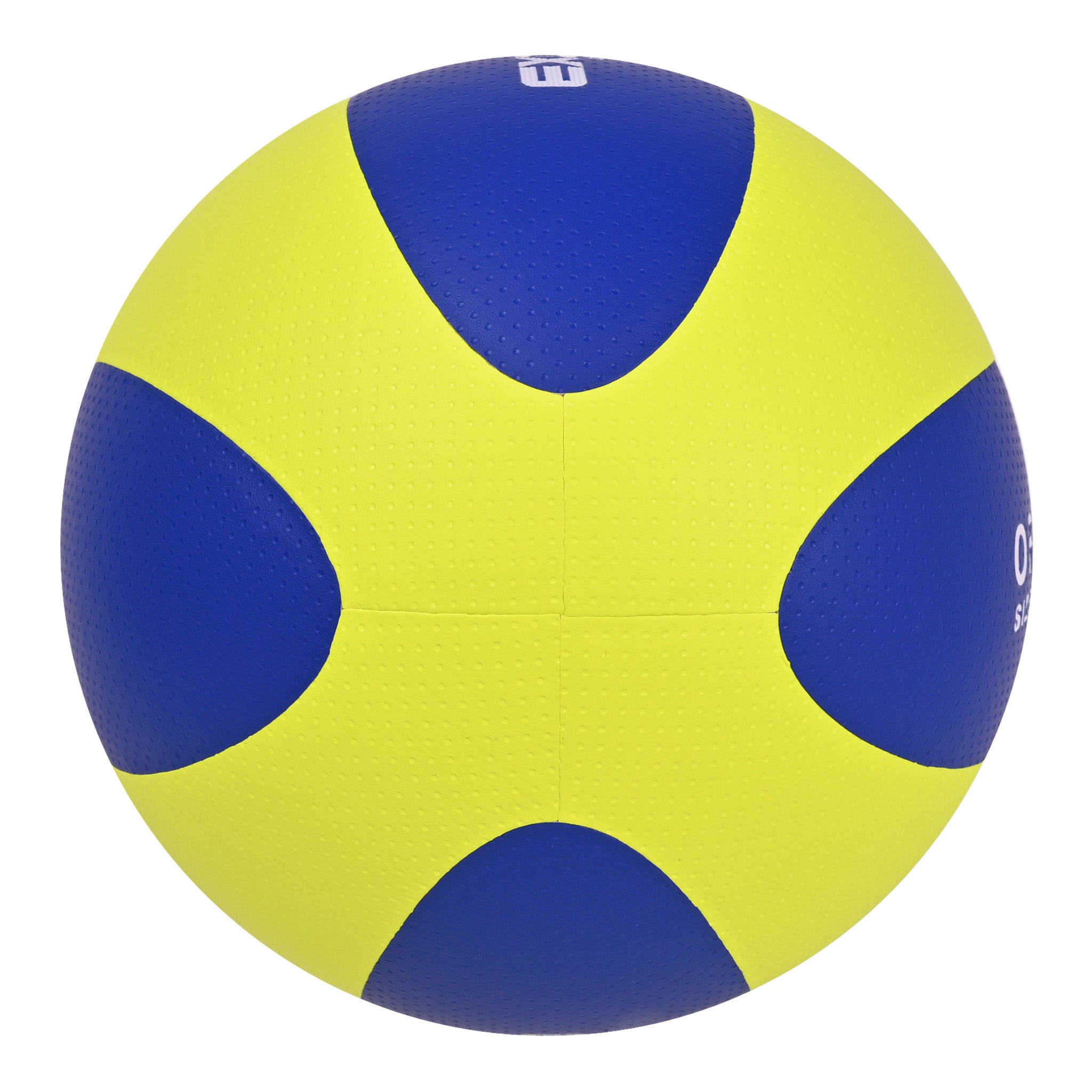 EV5514 Laminated Volleyball