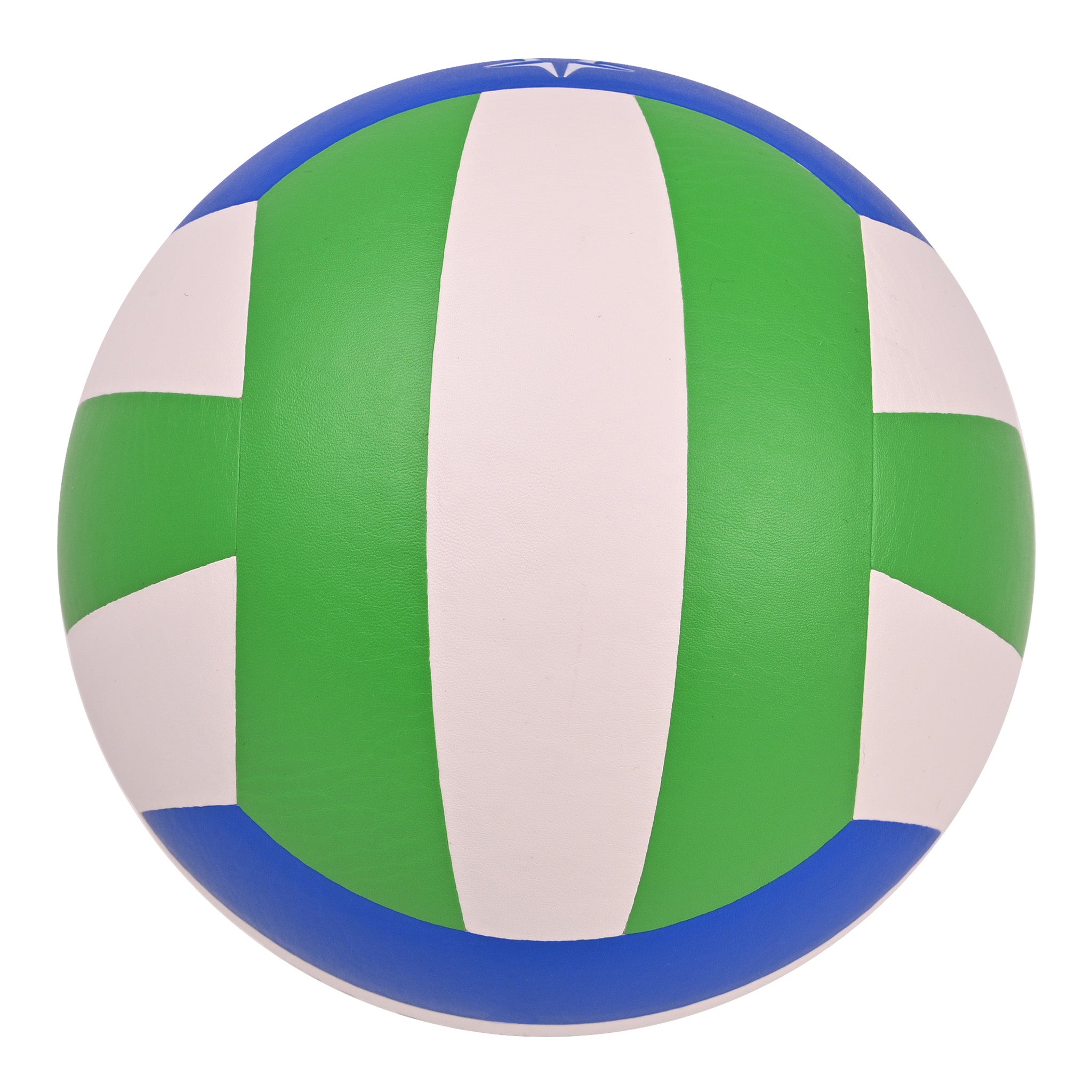 EV5515 Laminated Volleyball