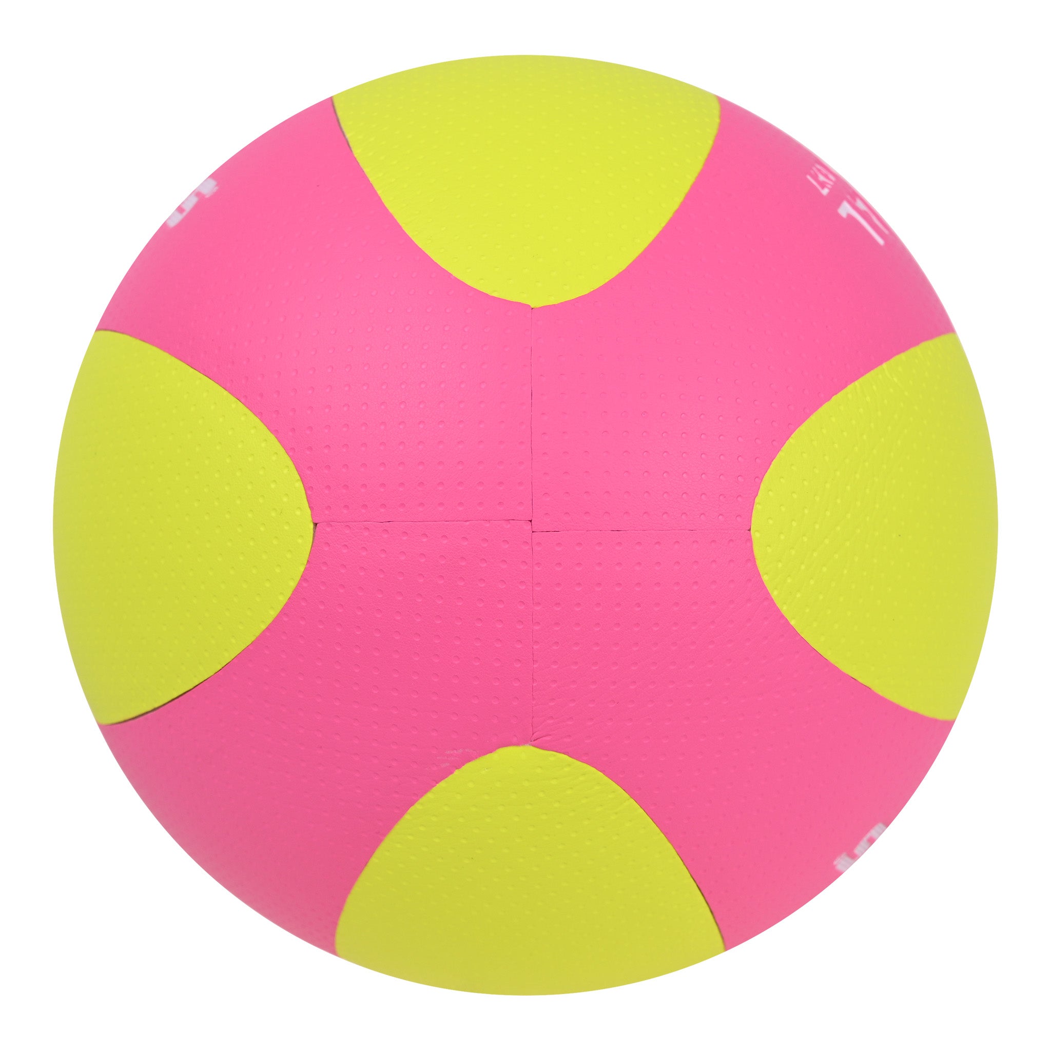 EV5542 Laminated Volleyball