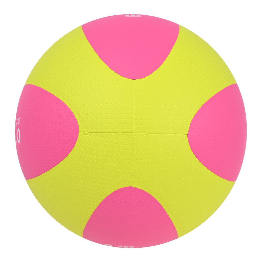 EV5542 Laminated Volleyball