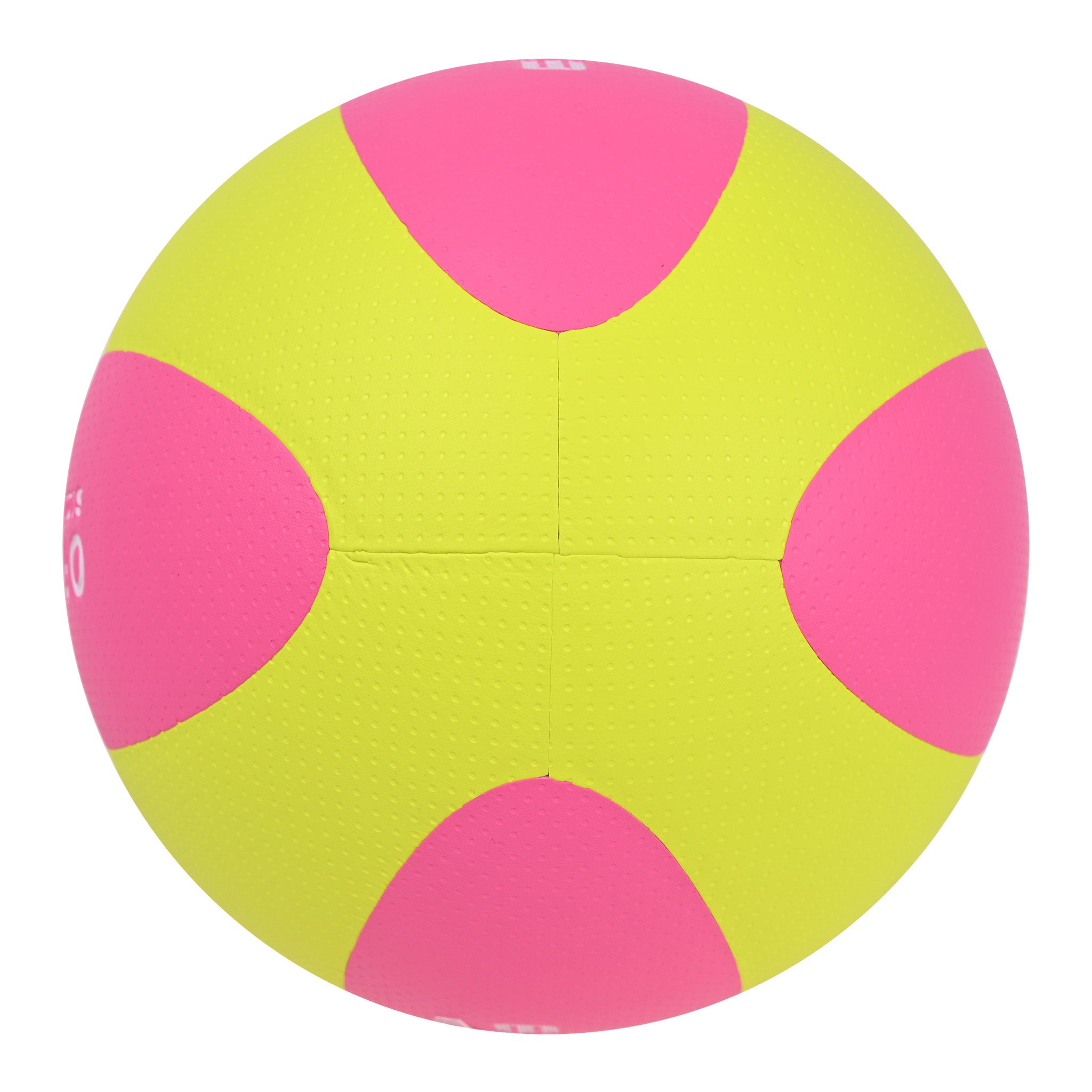 EV5542 Laminated Volleyball