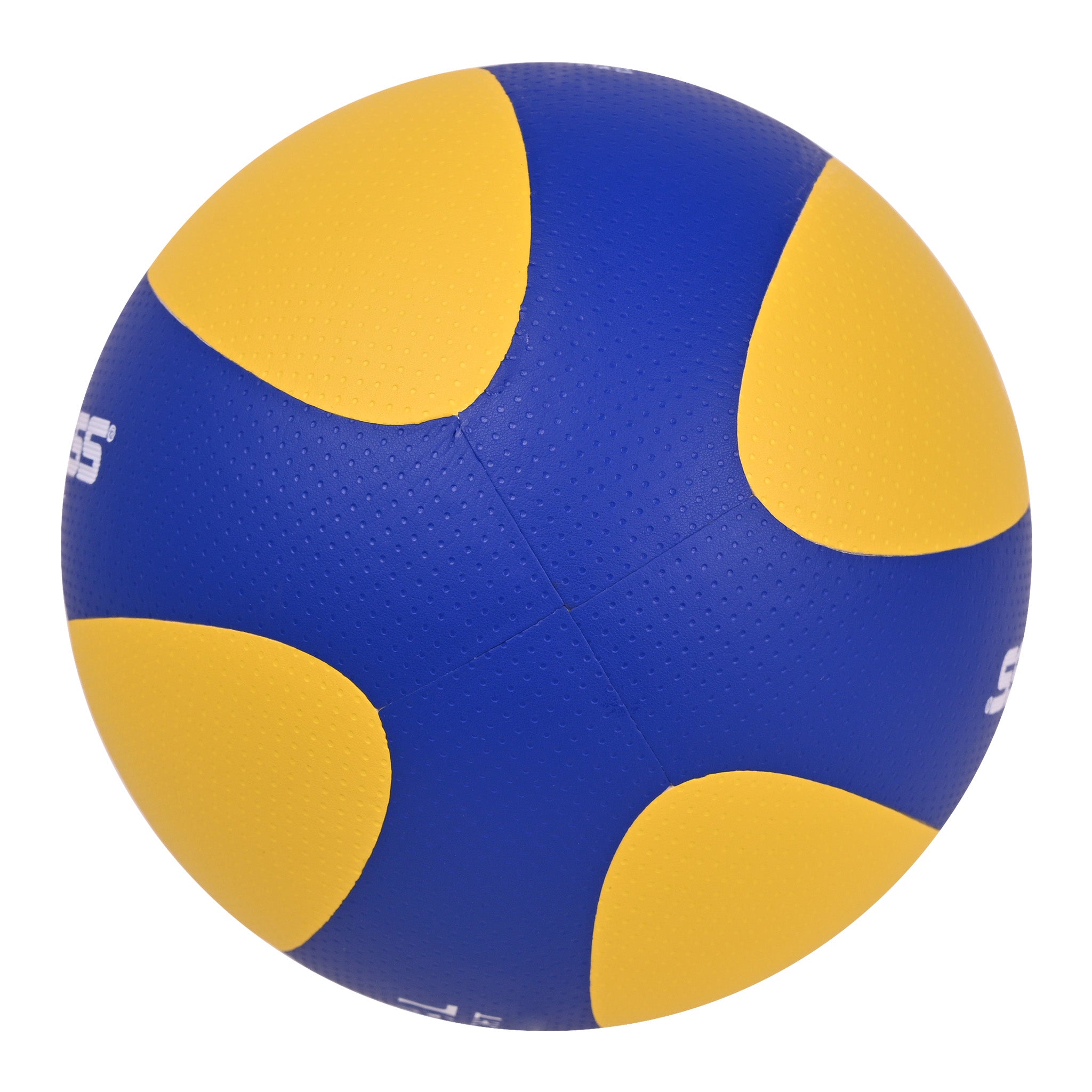 EV5545 Laminated Volleyball