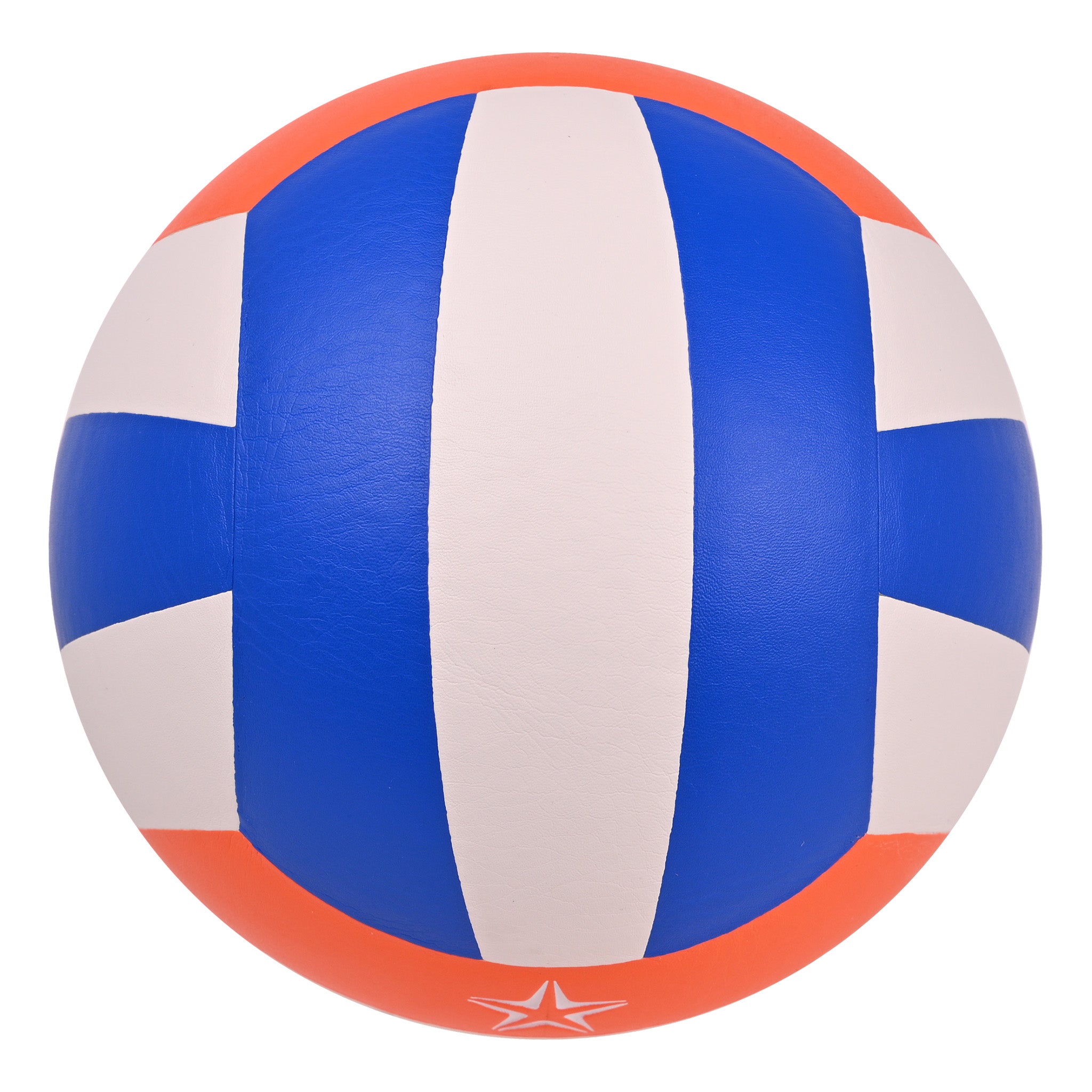 EV5546 Laminated Volleyball