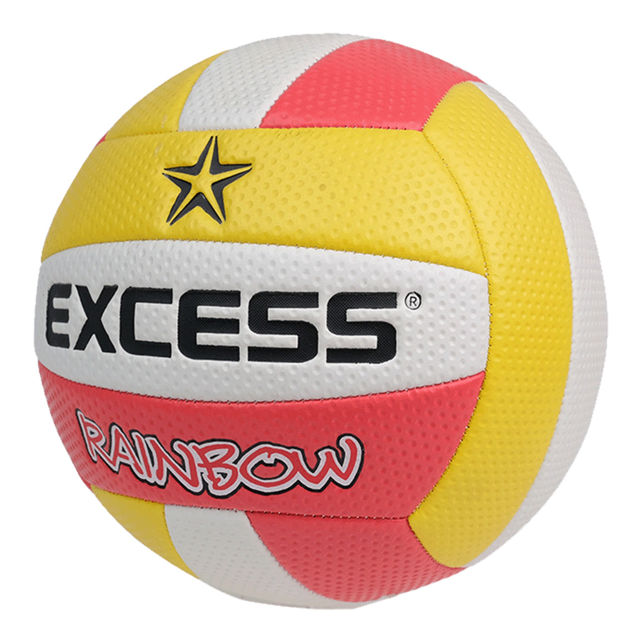 EV5548 Machine Stitched Volleyball